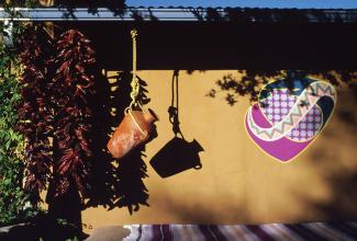 mural with pot in the south west